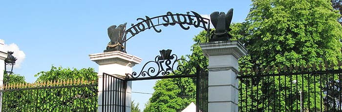 aigle noir