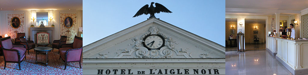 aigle_noir.jpg