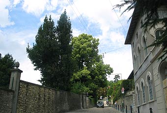 Bergame - montée vers la ville haute bergame 2