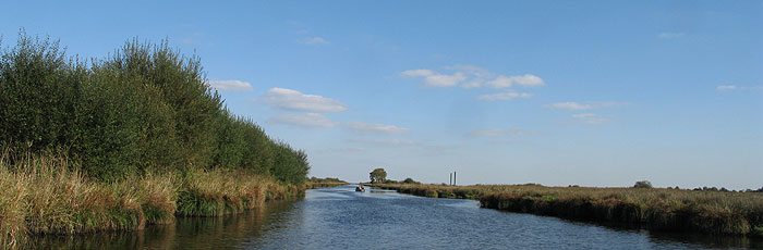 Grande Brière - Canal de Bréca à Rozé canal_briere