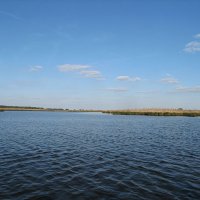 Piarde du côté de Bréca