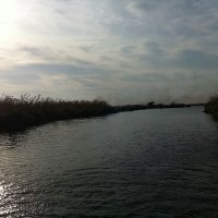 Fédrun