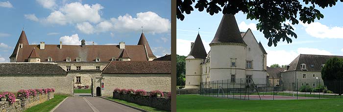 Château de Chailly - hôtel - Bourgogne chat chailly
