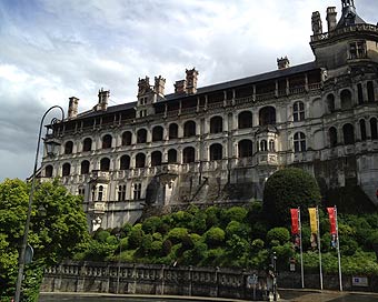 Château de Blois - façade des Loges chat blois