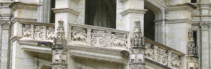 Château de Blois - détail de l'escalier François 1er chat blois 10