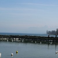 Le lac Léman à Yvoire