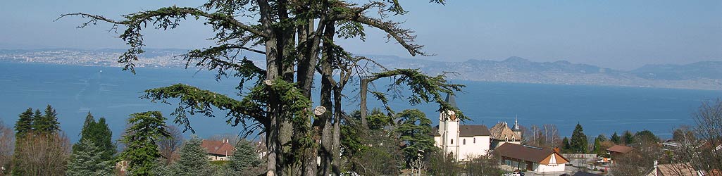 evian_6.jpg