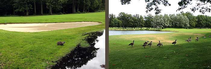 Golf Clément Ader - Gretz-Amainvilliers golf clement ader