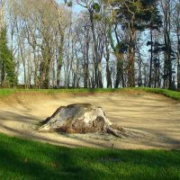 golf de La Bretesche - un des quatre bunkers qui défendent le green du 8