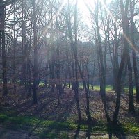 golf de La Bretesche - la forêt entre le 4 et le 5 (Par 4)  qui sont parallèles 