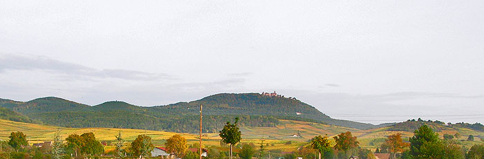 Haut-Koenigsbourg vu de Ribeauvillé ht koenigsbourg