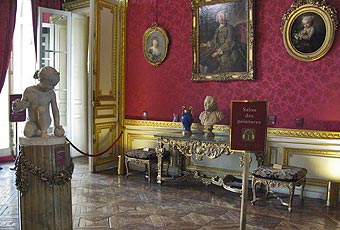Jacquemart-André - le salon des peintures jacquemart salon peintures