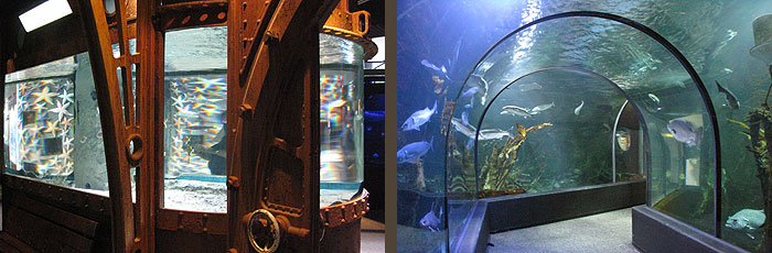 Océarium du Croisic - Nautilus et Le Tunnel ocearium_le_croisic