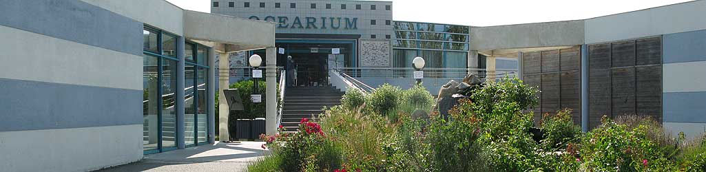 ocearium.jpg