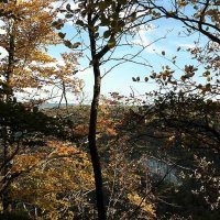 La Roche du Prêtre - à travers les arbres, les falaises
