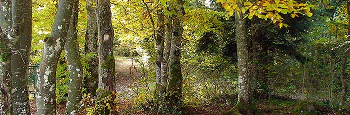 La Roche du Prêtre - Franche-Comté roche pretre